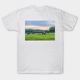 Horses at Twilight T-Shirt